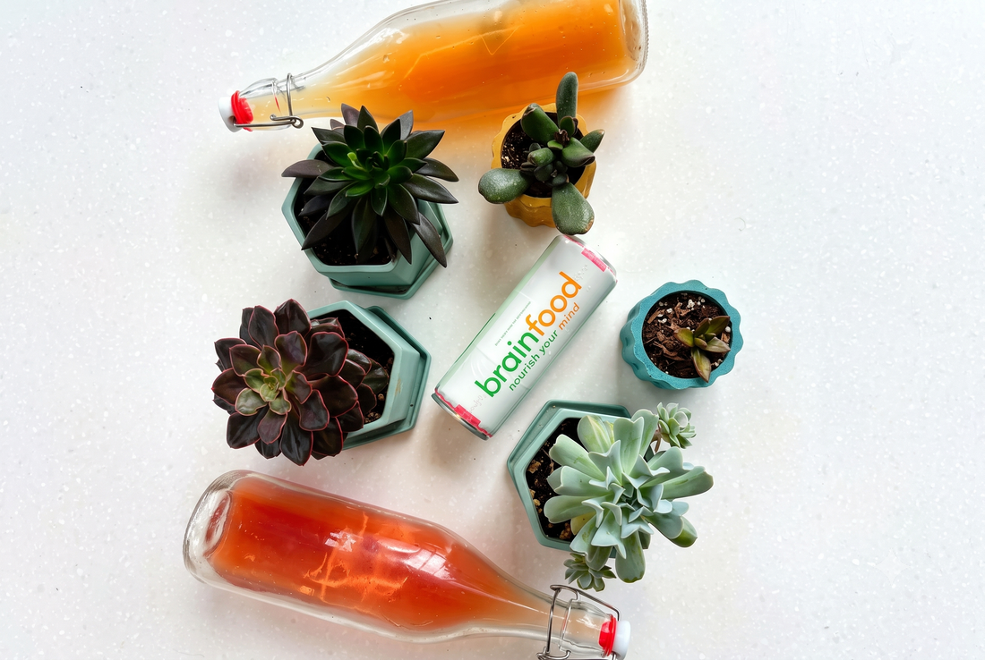 Sparkling Water for your Brain - Tasty Trio